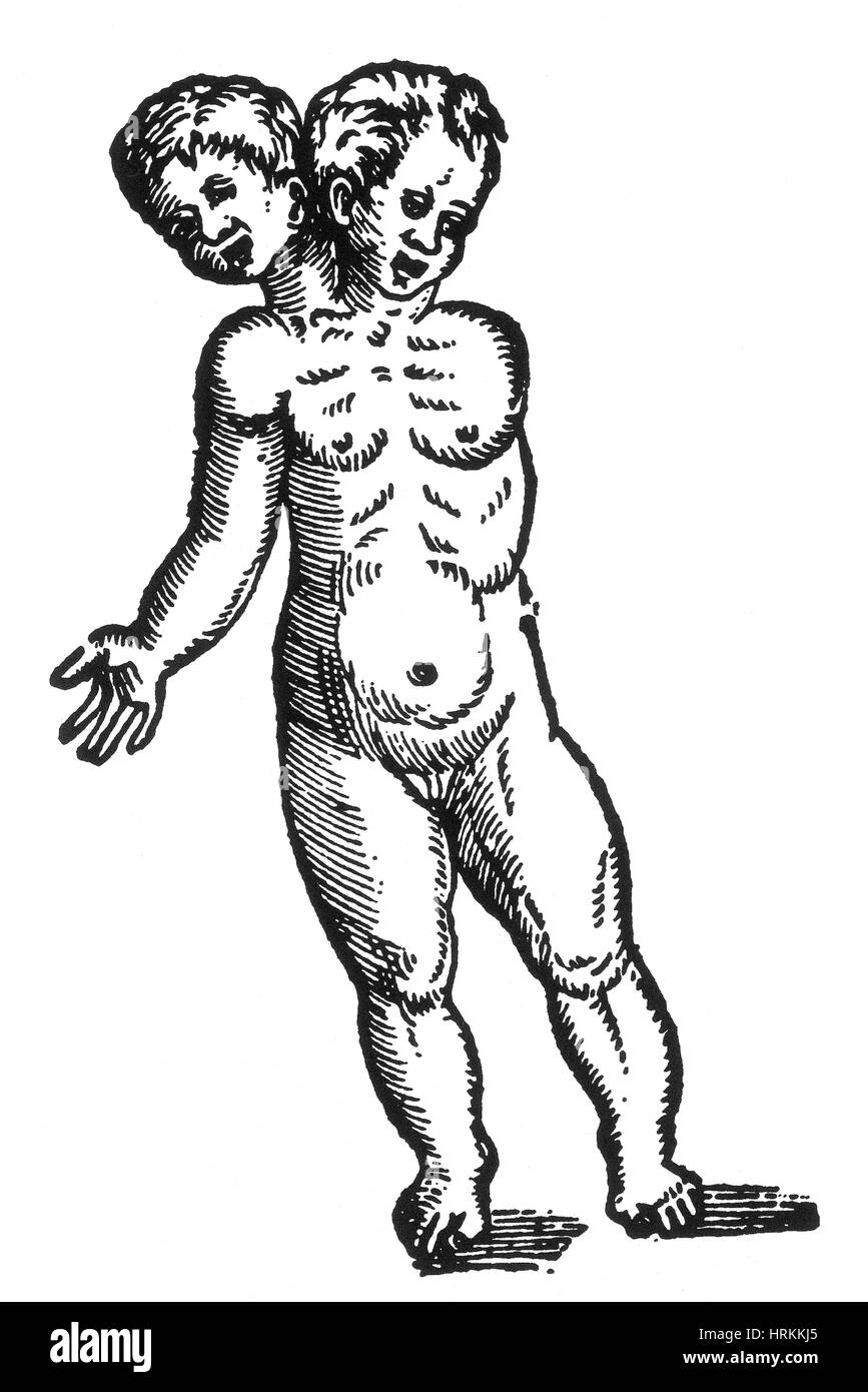 Menschliche Monster, 16. Jahrhundert Stockfoto