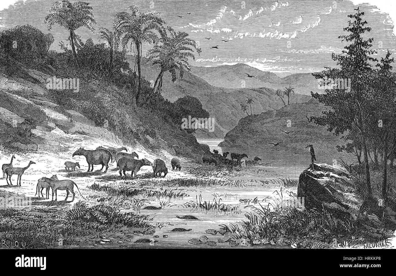Eozän, prähistorische Landschaft Stockfoto