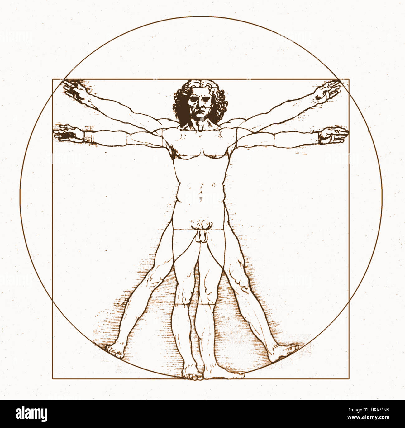 Menschlichen Körper von Da Vinci Stockfoto