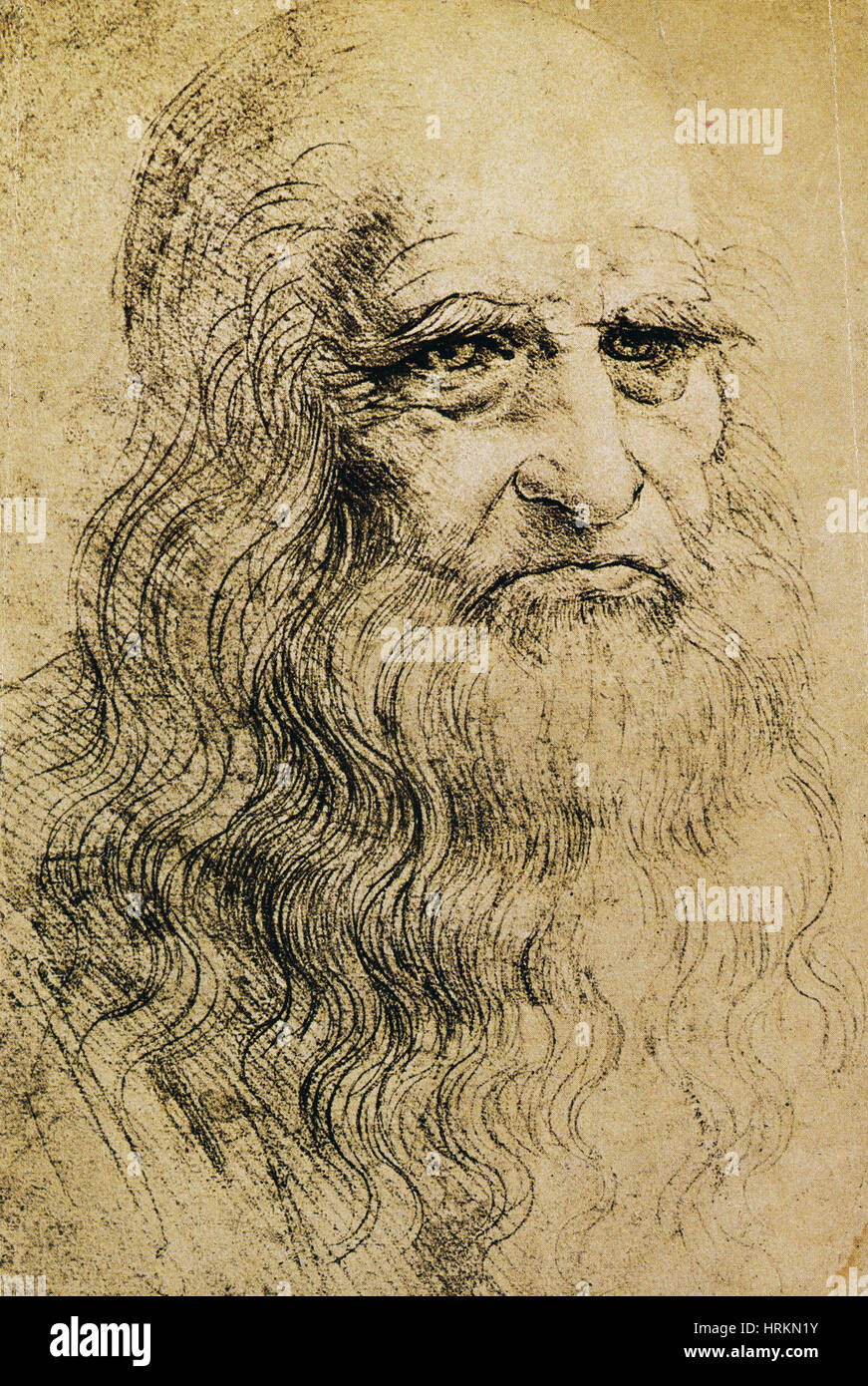 Leonardo da Vinci, italienisches Universalgenie Stockfoto