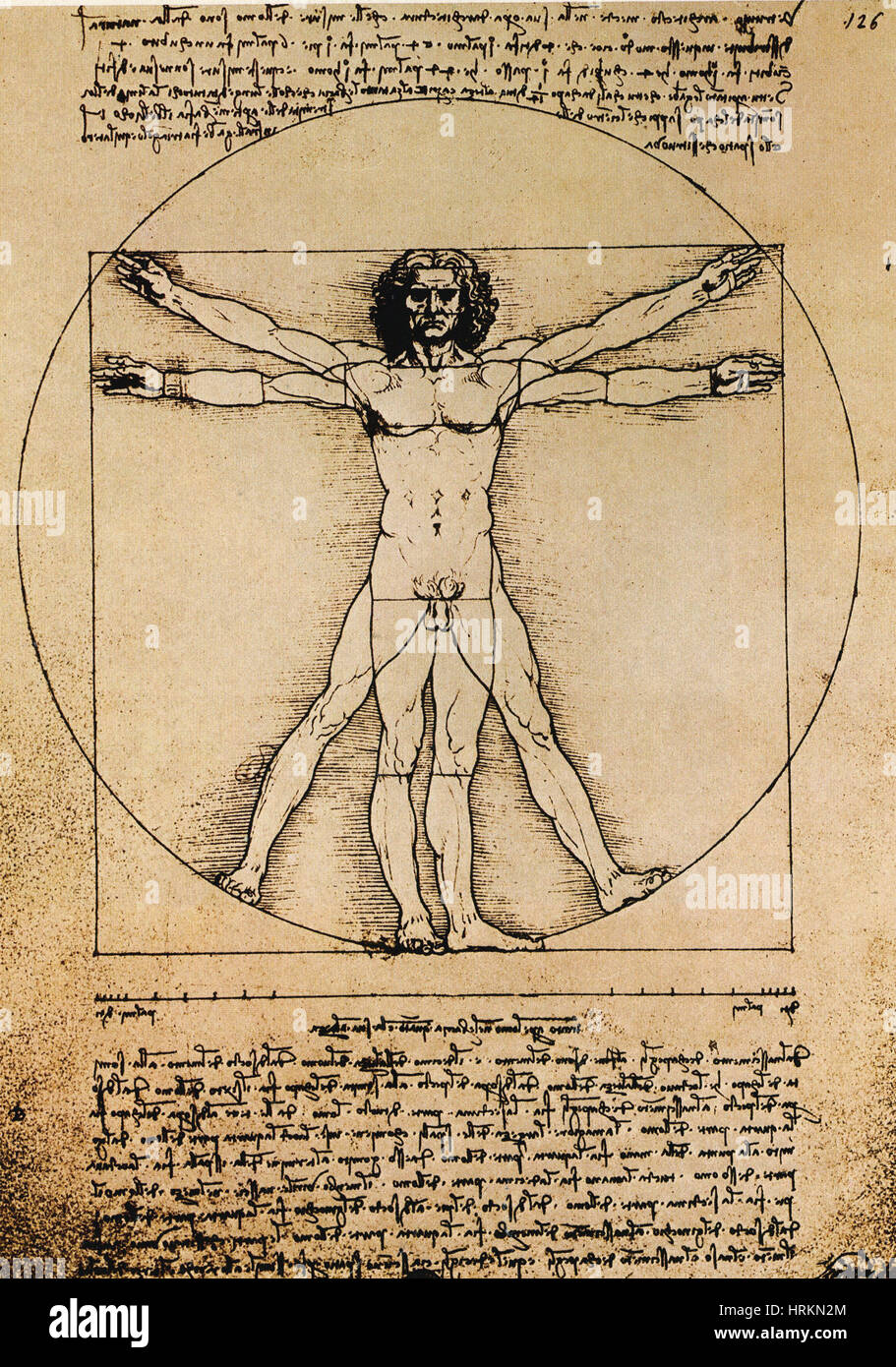 Da Vinci Rechtsstaatlichkeit Proportionen Stockfoto