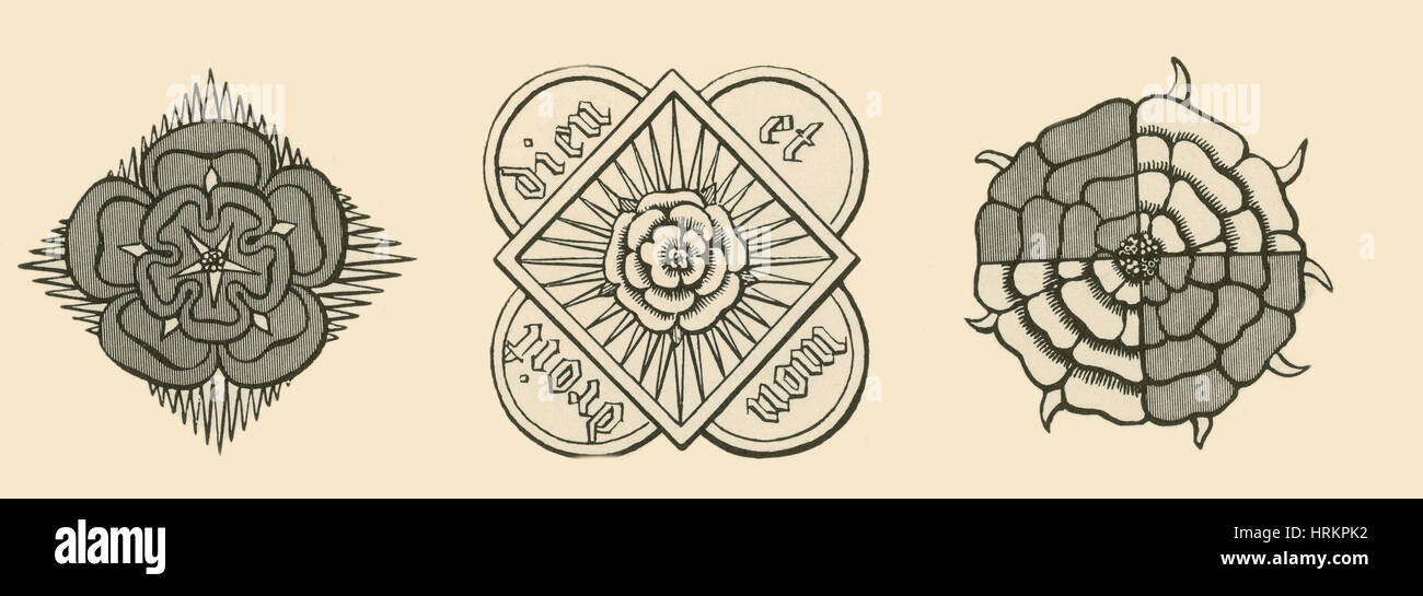 Rose Illustrationen von Parkers Annales von England Stockfoto