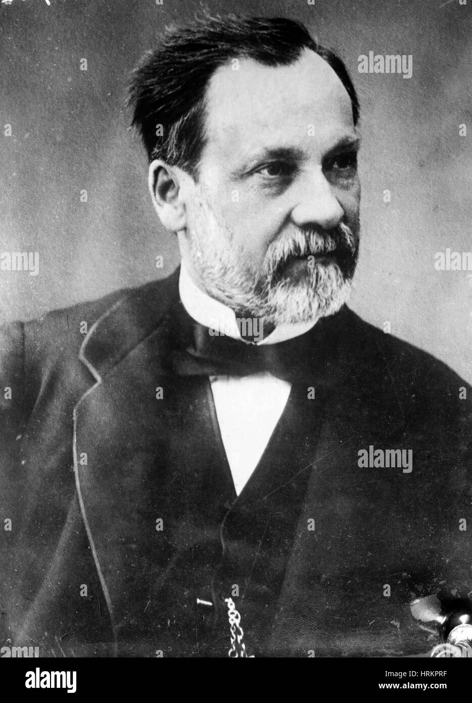 Louis Pasteur, französischer Chemiker und Bakteriologe Stockfoto