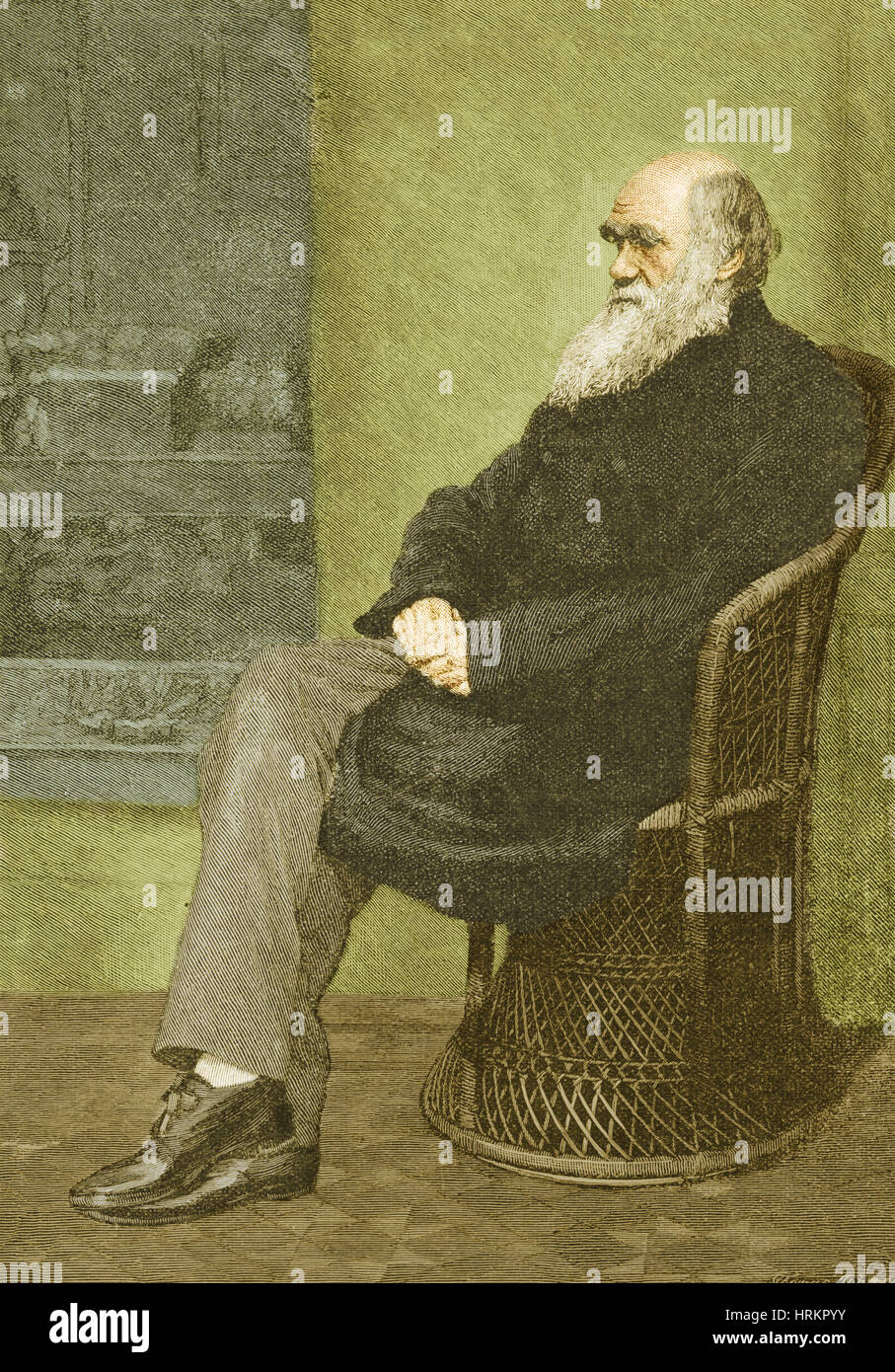 Charles Robert Darwin, englischer Naturforscher Stockfoto