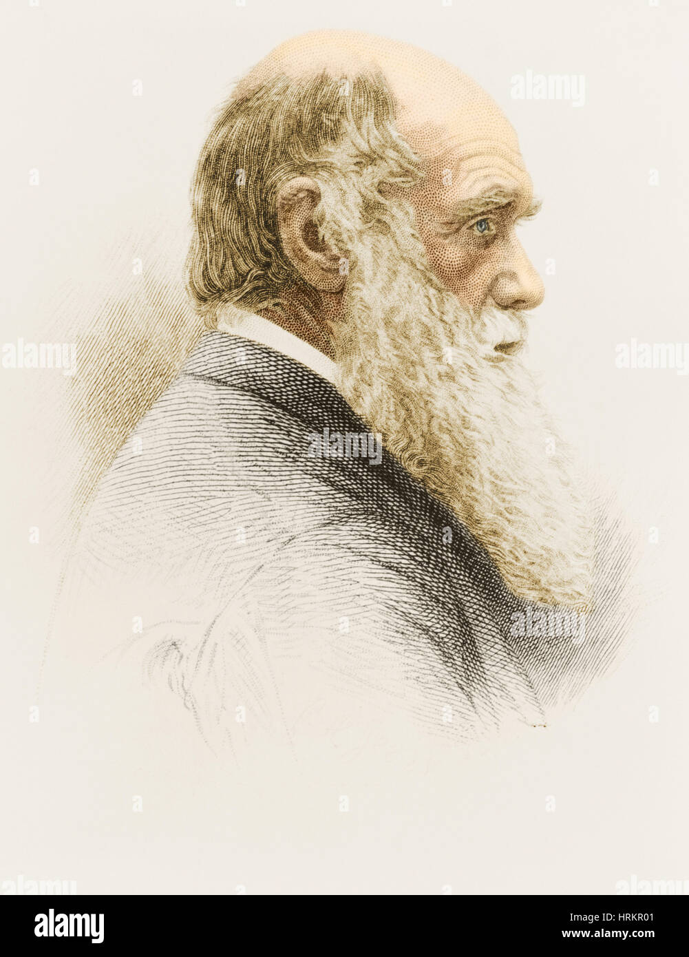 Charles Robert Darwin, englischer Naturforscher Stockfoto