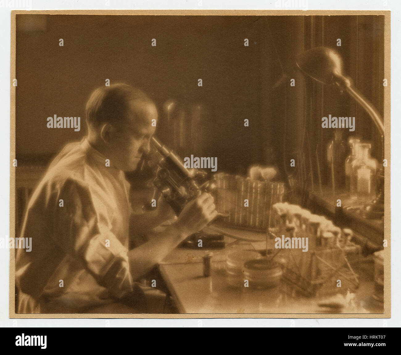 Oswald Avery, kanadischer Mediziner Stockfoto