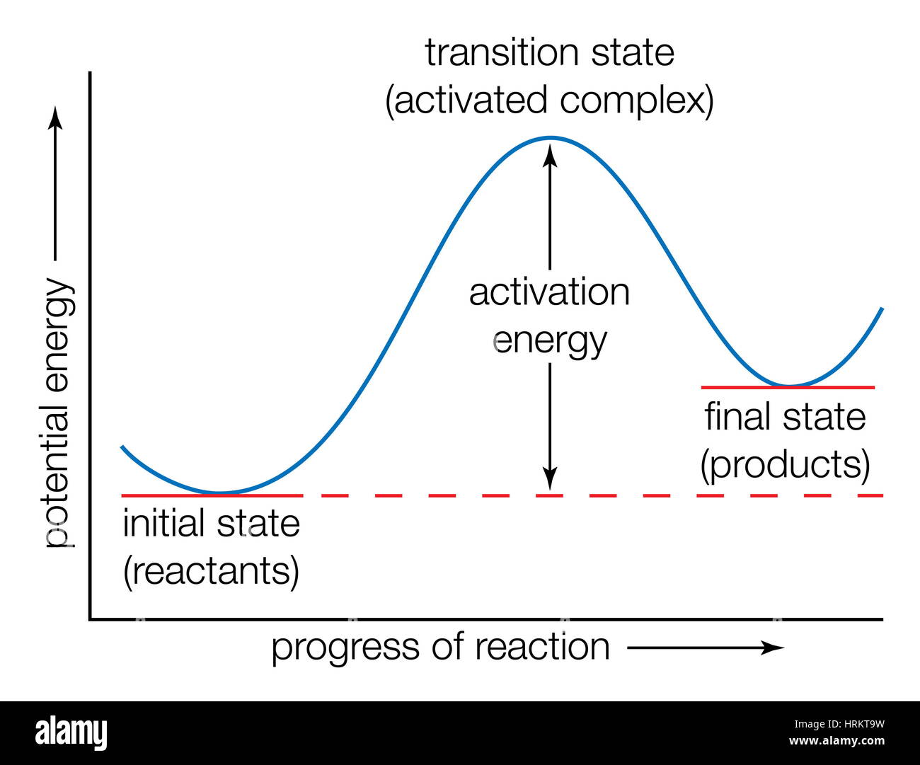 Potentielle Energie Kurve. Übergang Energiezustände, Fortschritt der Reaktion, Übergangs-State-Theorie, aktiviert-Komplex-Theorie, Theorie der absoluten Stockfoto
