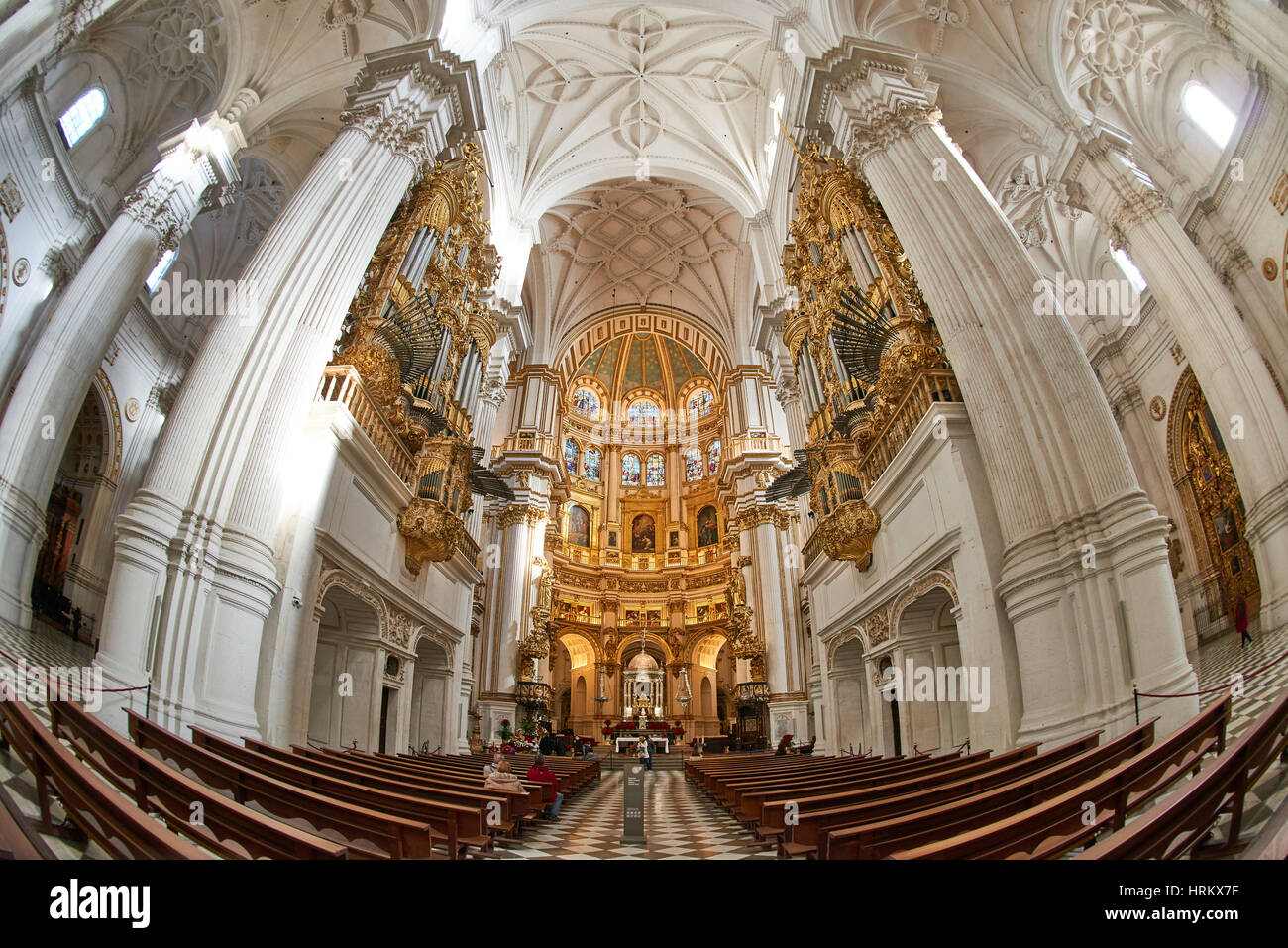 Kathedrale von Granada, Granada, Andalusien, Spanien, Europa Stockfoto
