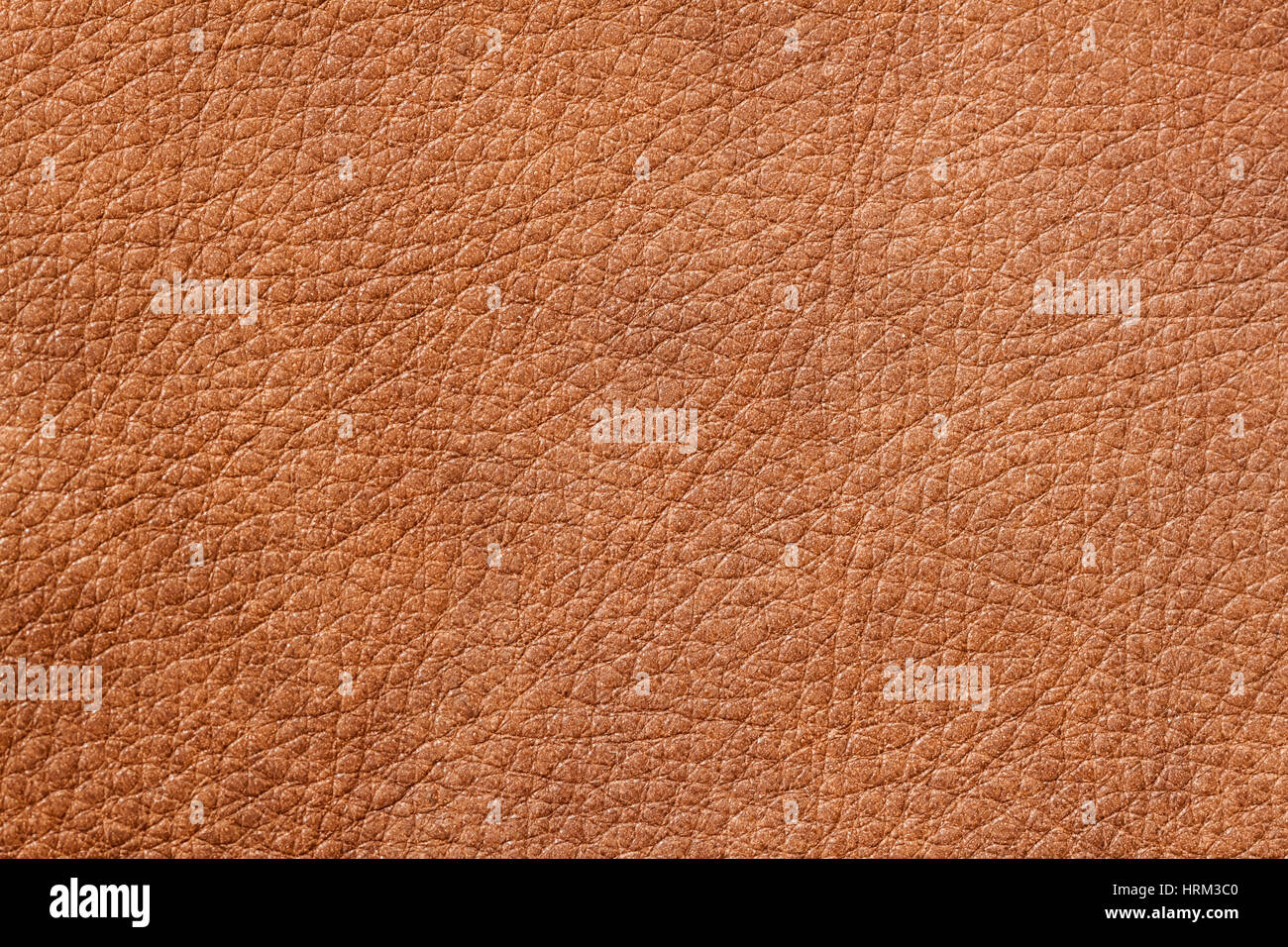 Textur des Hintergrunds für Designer, braune Farbe, Muster von echtem Lederoberfläche. Hintergrund, Hintergrund, Substrat Komposition verwenden. Stockfoto