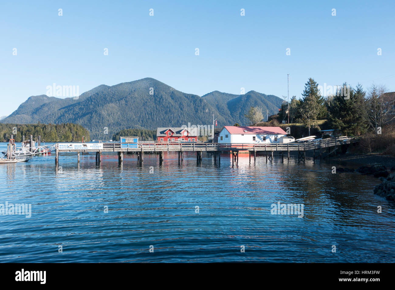 Hafen von Tofino, Britisch-Kolumbien, Kanada Stockfoto