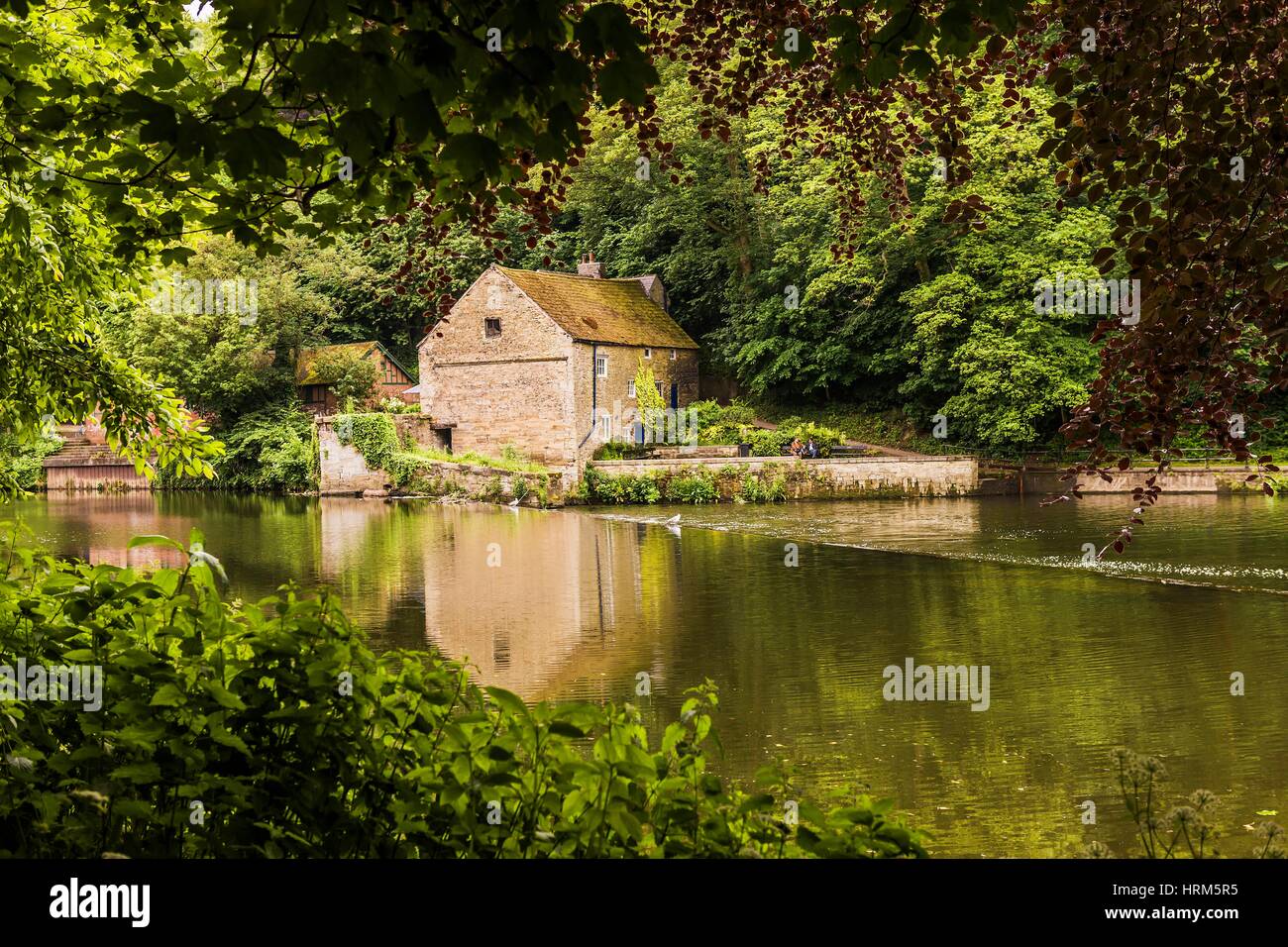 Flusses Wear, Durham, Nord-Ost-England, England, UK Stockfoto