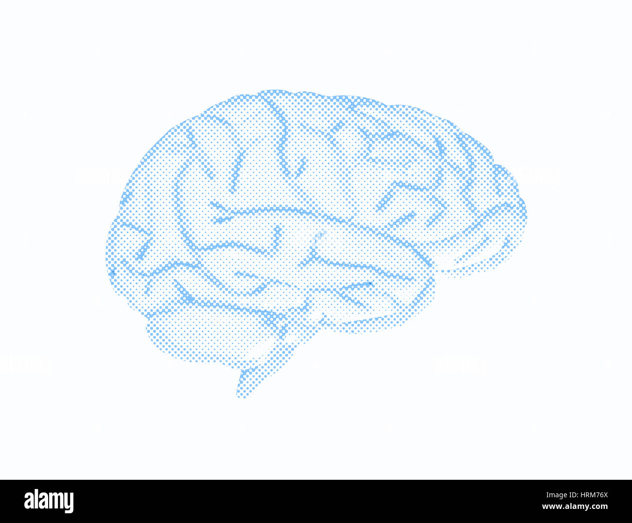Menschliche Gehirn Halbton Muster isoliert auf weißem Hintergrund Stockfoto