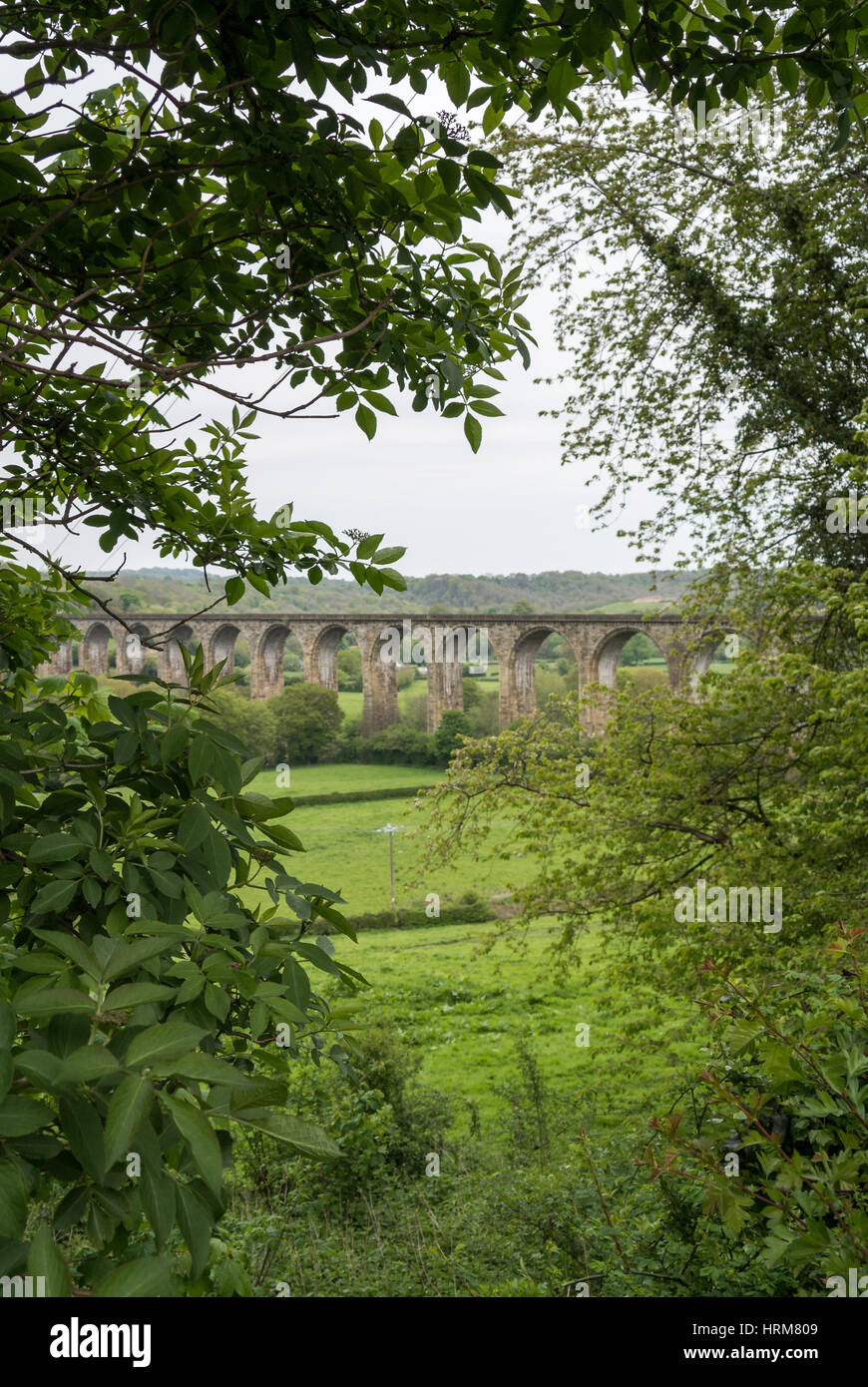 Cefn Mawr Viadukt durch Bäume aus dem Chirk Kanal betrachtet Stockfoto