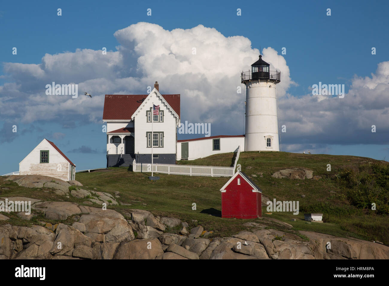 Die schöne Cape Neddick Lighthouse auch bekannt als Nubbel, an einem sonnigen Sommertag in York, Maine Stockfoto