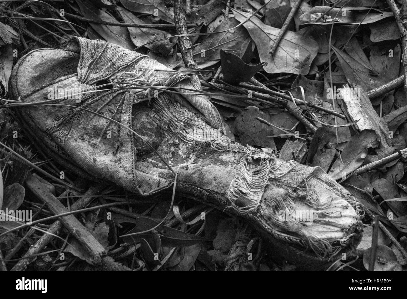 Ein Alter Schuh hinterließ in den Wäldern in Autryville, NC. Stockfoto