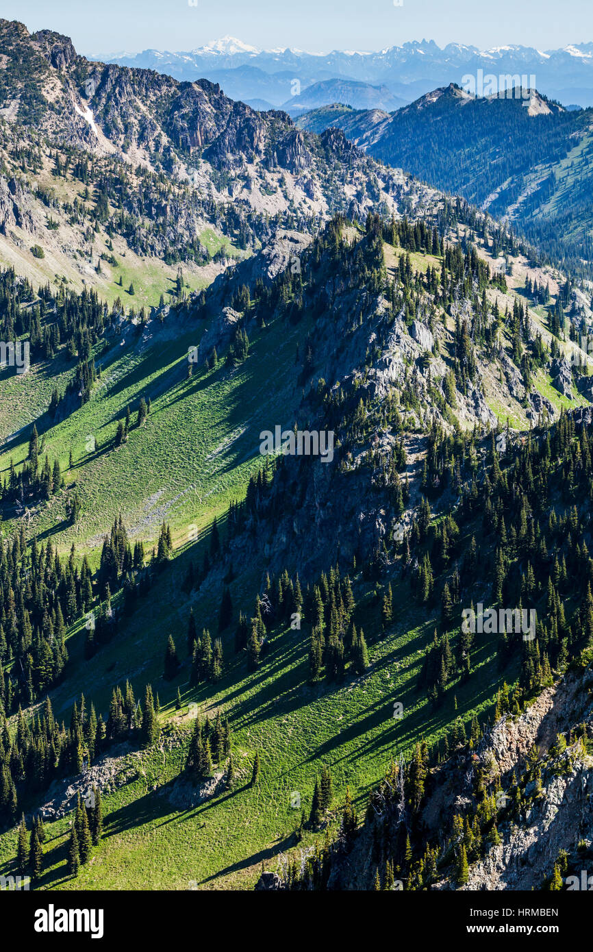 Blick hinunter auf den Bergen unter Dege Höchststand in Mt Rainer Nationalpark, Washington, USA. Mt Stuart und der Kaskadenkette in der Ferne zu sehen Stockfoto