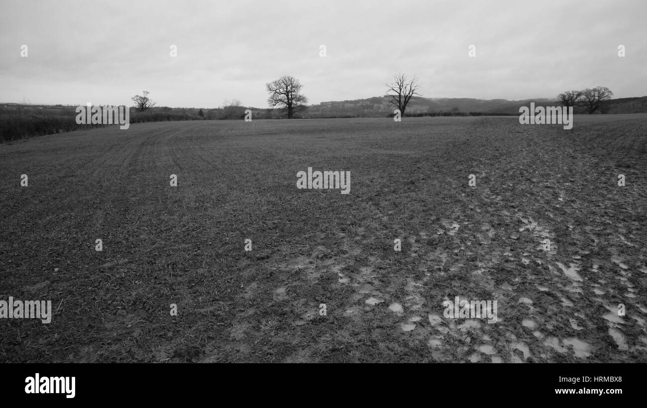 Sehr matschig Bauernhof Feld mit bedecktem Himmel in Schwarz und Weiß, Landschaft von Cotswold, England, Großbritannien Stockfoto