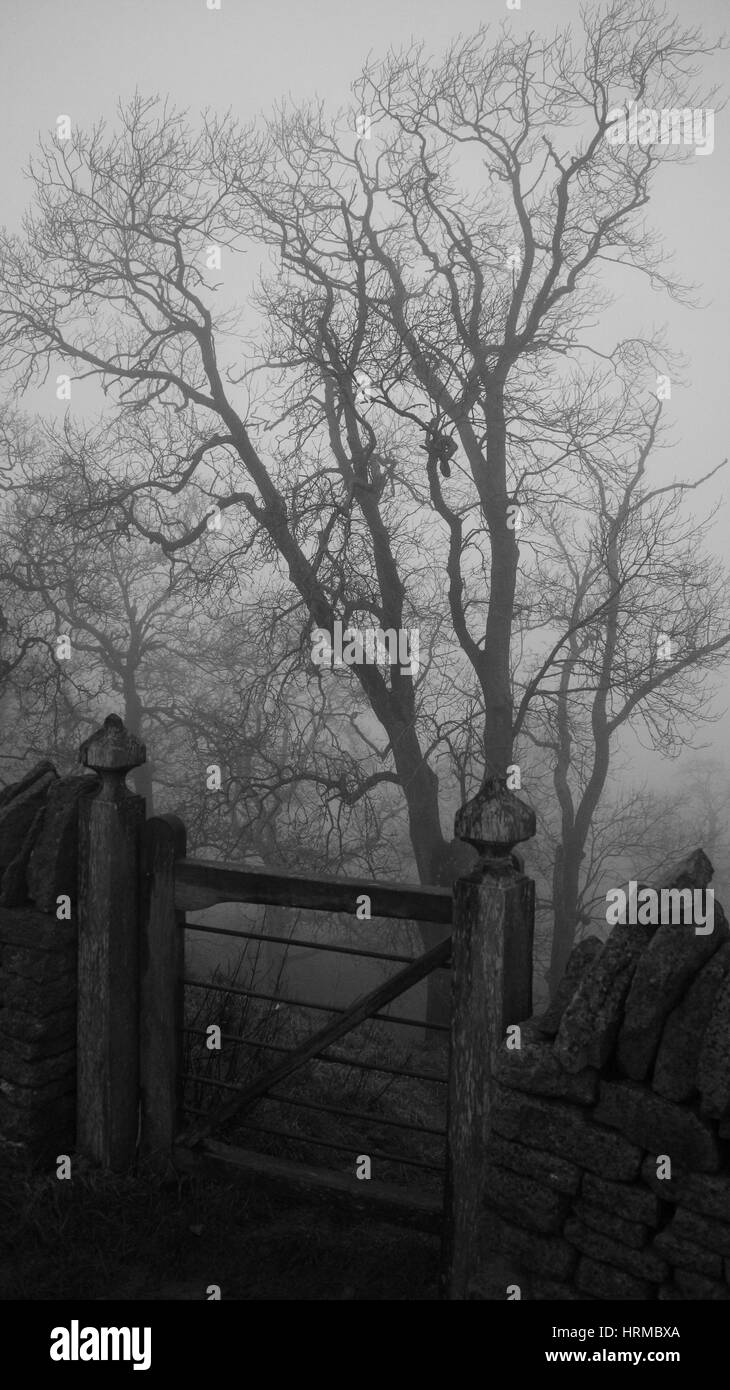 Kleines Holzfarmtor mit einem Baum im Hintergrund an einem nebligen Tag, Schwarzweiß, Portraitansicht, Cotswold, England, Großbritannien Stockfoto