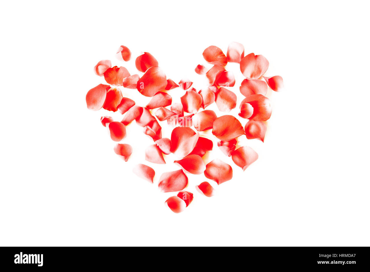 Herz aus roten Rosenblättern auf weißem Hintergrund Stockfoto
