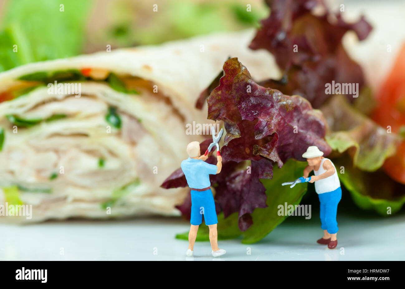 Kleine Menschen schneiden Salat Stockfoto