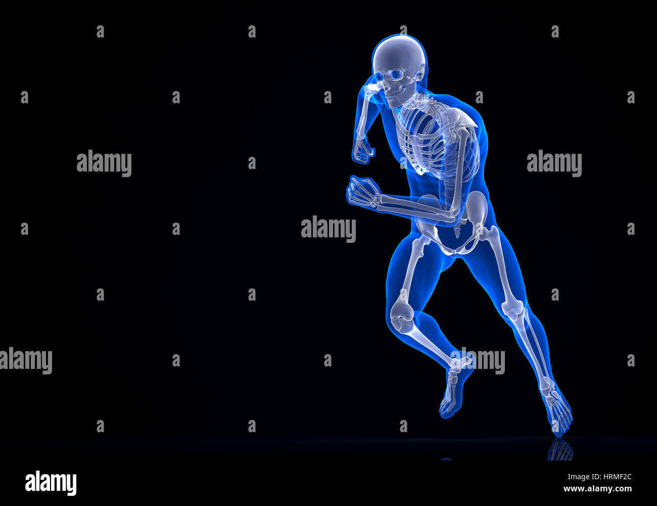 3d Skelett ausgeführt. Clipping-Pfad enthält Stockfoto