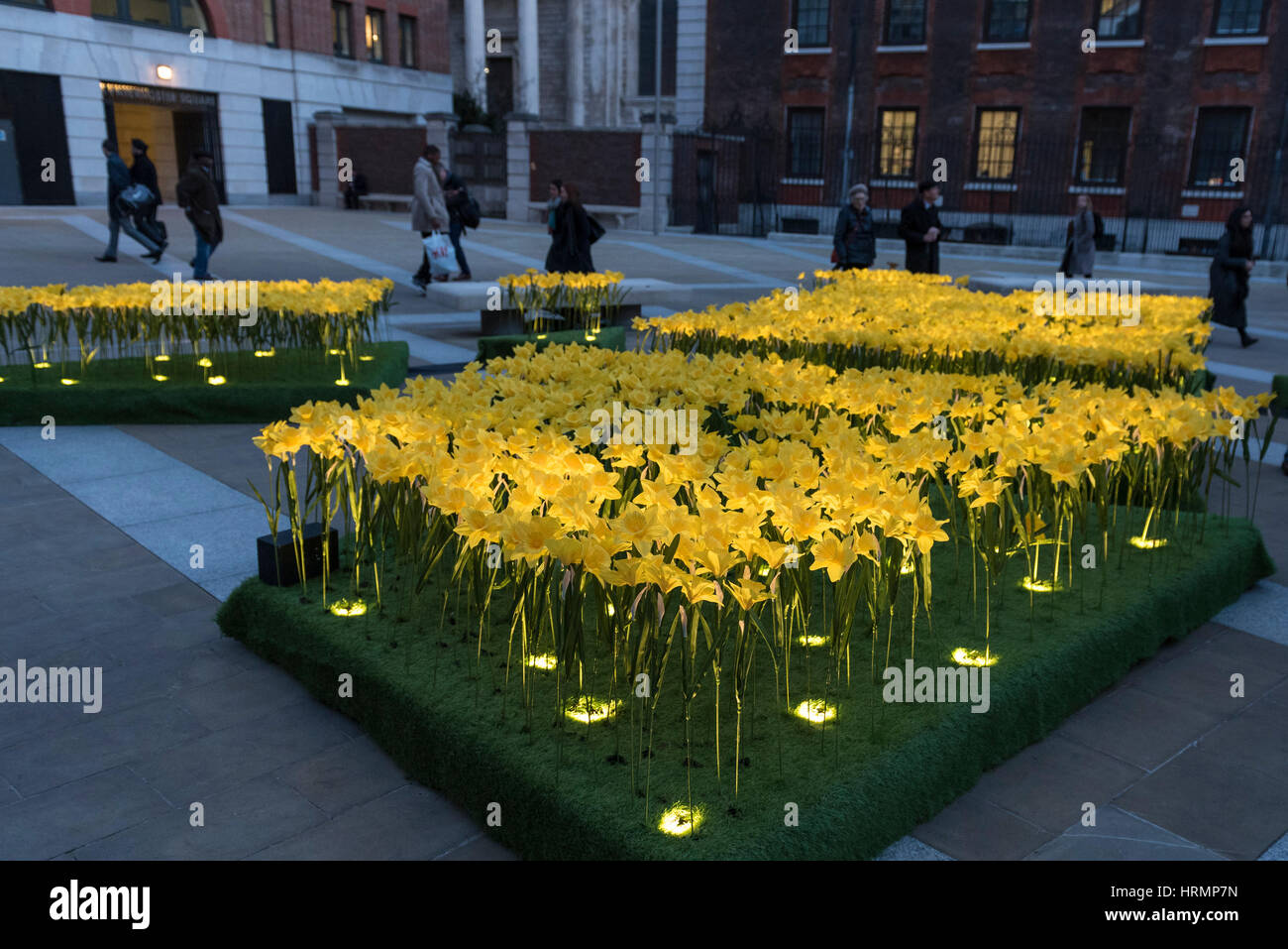 London, UK. 2. März 2017. Mitglieder der Öffentlichkeit anzeigen The Garden of Light, bestehend aus 2.100 Narzissen, das zur Zeit auf dem Display in Paternoster Square neben der St. Pauls Kathedrale. Jede Narzisse repräsentiert eine Marie Curie Nurse, als Symbol für die Betreuung und Unterstützung, die sie von der unheilbaren Krankheit betroffenen Familien geben. Als Teil der großen Narzisse Nächstenliebe wird die Anzeige auf andere Standorte in Großbritannien im März verschoben werden. Bildnachweis: Stephen Chung/Alamy Live-Nachrichten Stockfoto