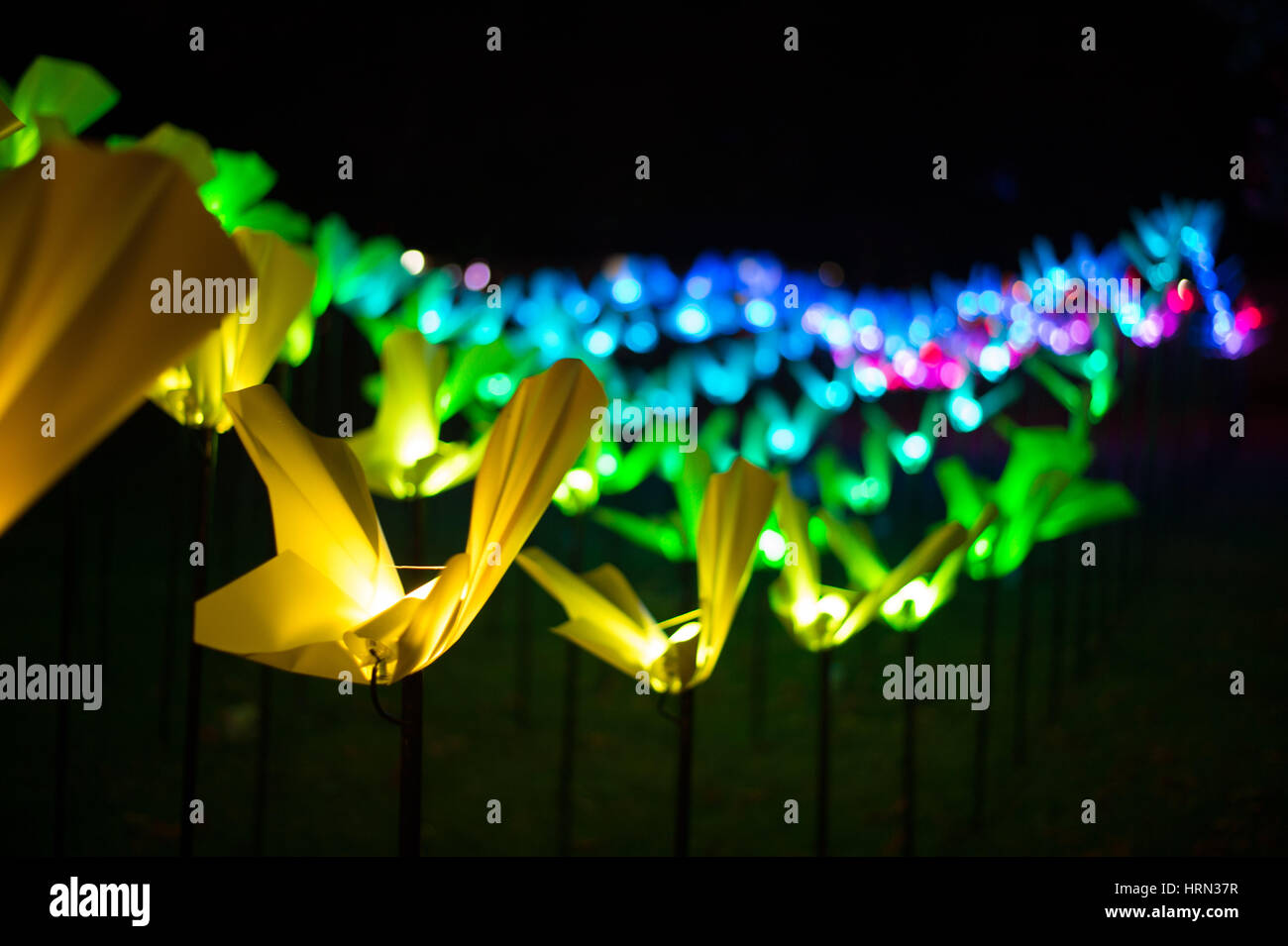 Canberra. 3. März 2017. Foto aufgenommen am 3. März 2017 zeigt eine Lichtinstallation in Canberra, Australien. "Erleuchte Canberra" ist eine jährliche kulturelle und kreative Aktivität statt im März, während der Hauptgrenzstein Gebäude, einschließlich Parliament House, Old Parliament House, National Science and Technology Centre, Nationalbibliothek, mit bunten Lichtern beleuchtet werden. Bildnachweis: Wu Yiliang/Xinhua/Alamy Live-Nachrichten Stockfoto