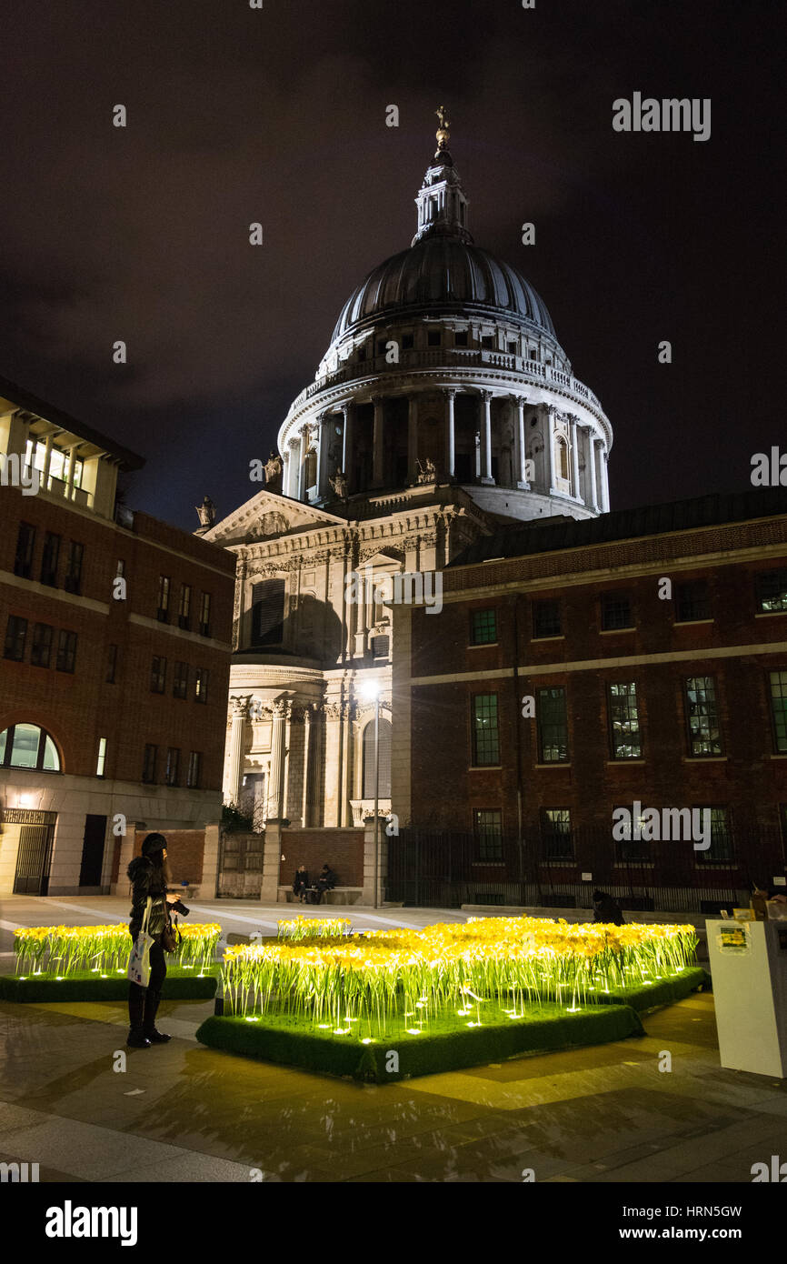 Marie Curie, die Great Daffodil Appeal and Garden of Light Installation der Krebshilfe auf dem Paternoster Square, London, Großbritannien Stockfoto