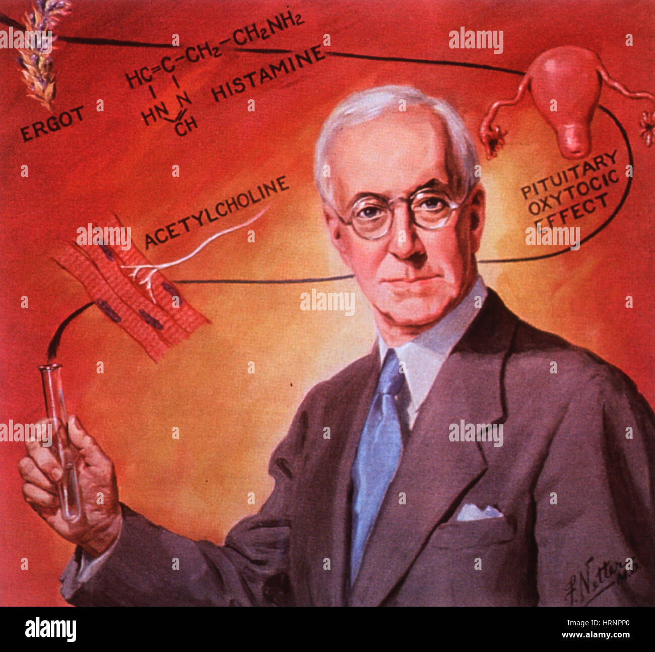 Henry hallett dale Fotos und Bildmaterial in hoher Auflösung Alamy