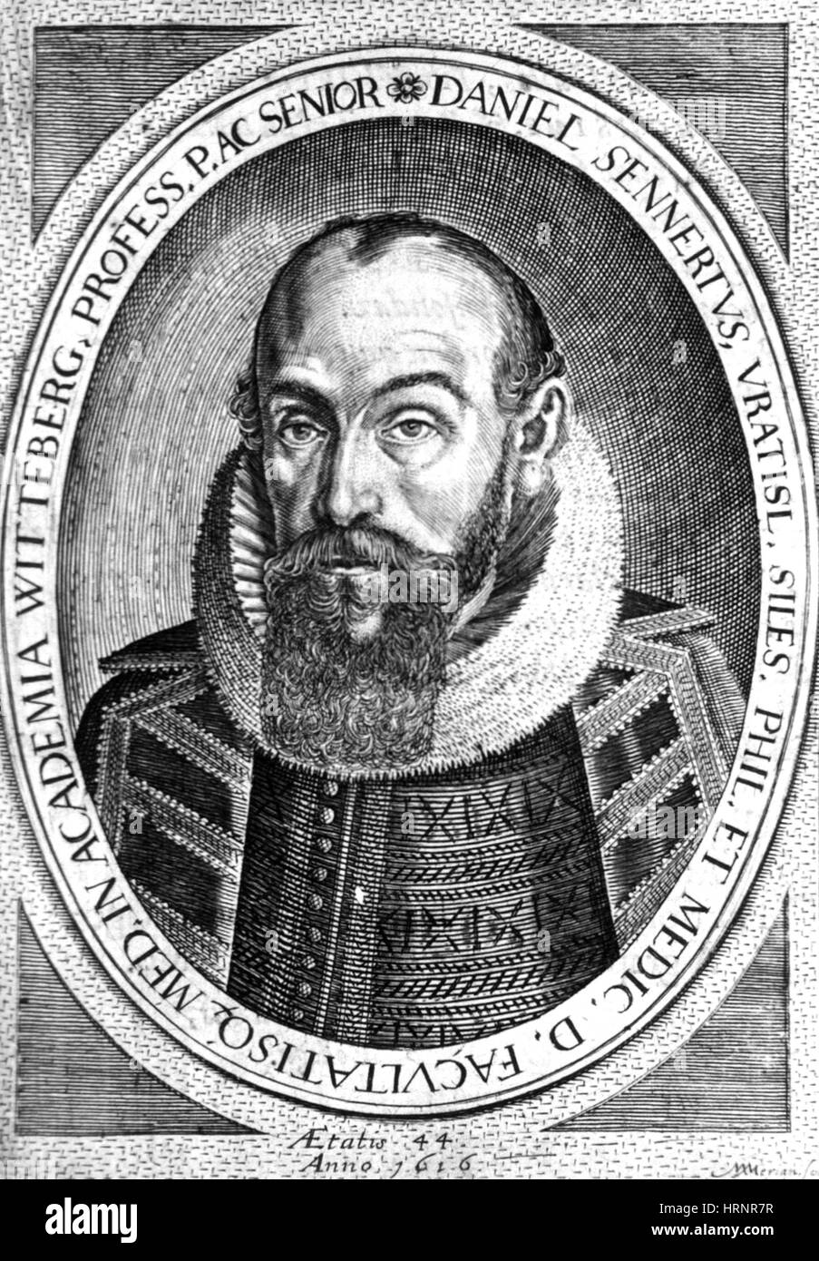 Daniel Sennert, deutscher Arzt und wissenschaftlicher Autor Stockfoto