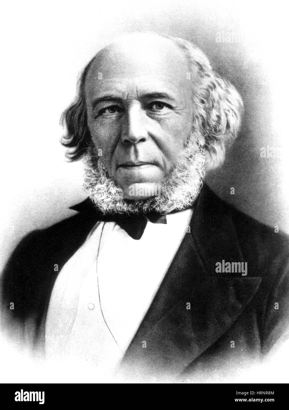 Herbert Spencer, englischer Universalgelehrter Stockfoto