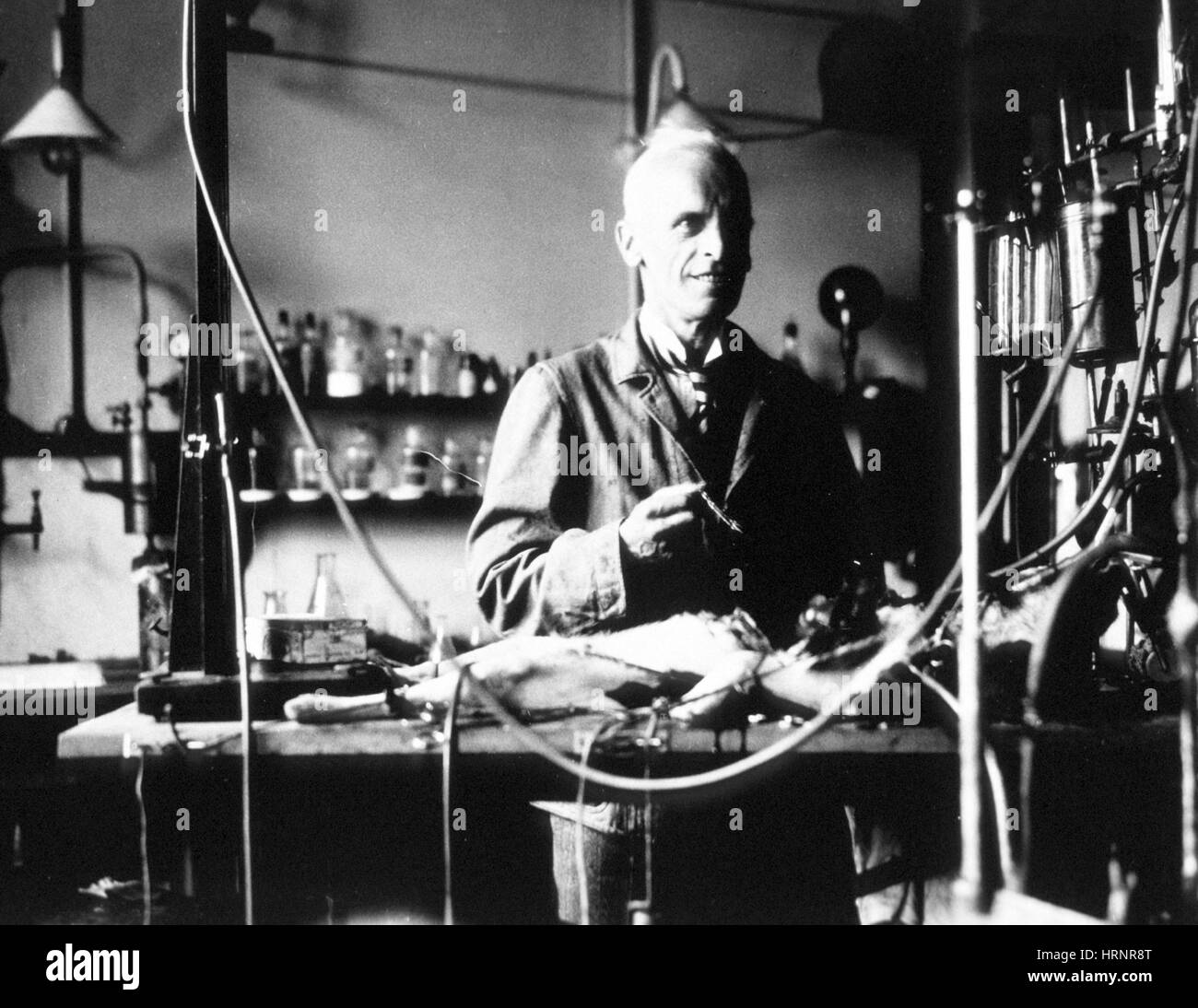 Ernest Henry Starling, englischer Physiologe Stockfoto