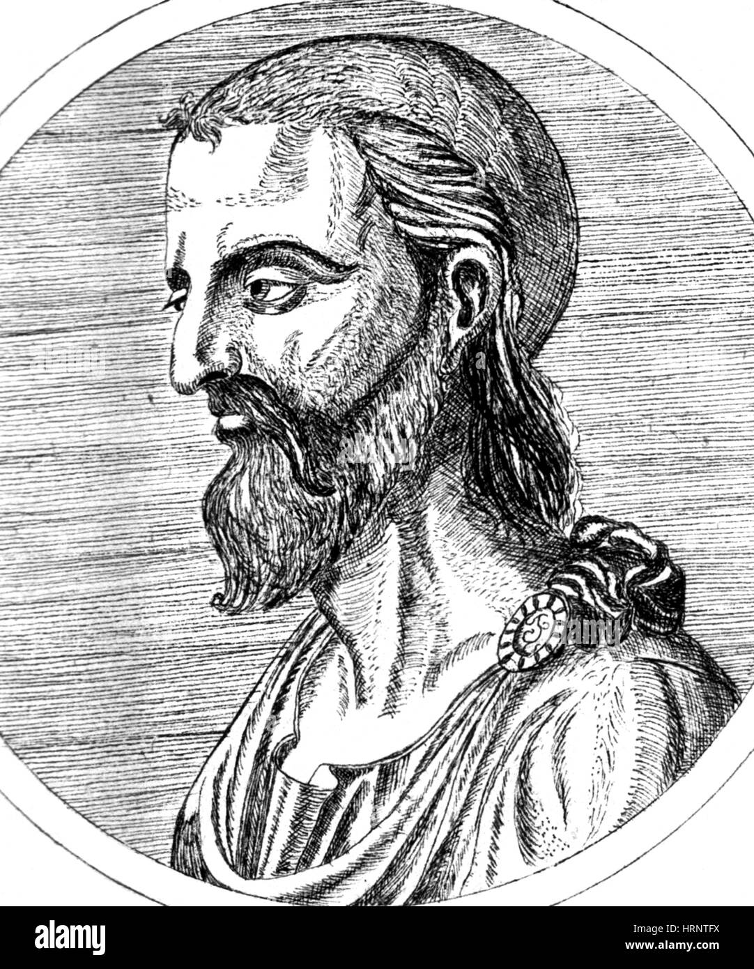 Pedanius dioscorides Fotos und Bildmaterial in hoher Auflösung Alamy