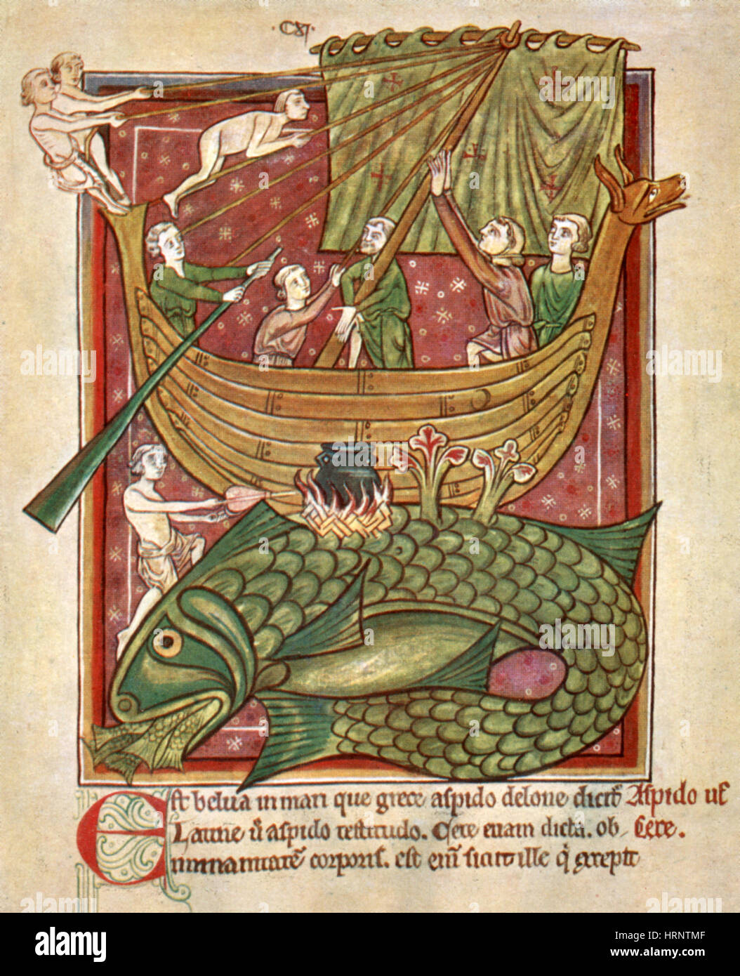 Monstruos Marinos, 13. Jahrhundert Stockfoto