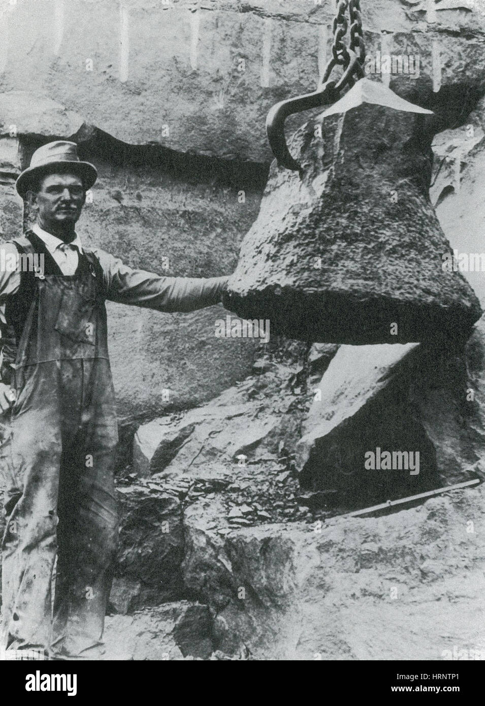 Wattieza versteinerter Baumstumpf, 1921 Stockfoto