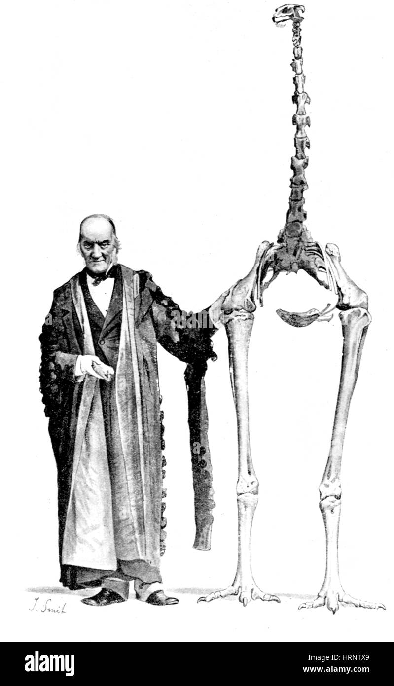 Richard Owen, englische Paläontologe Stockfoto