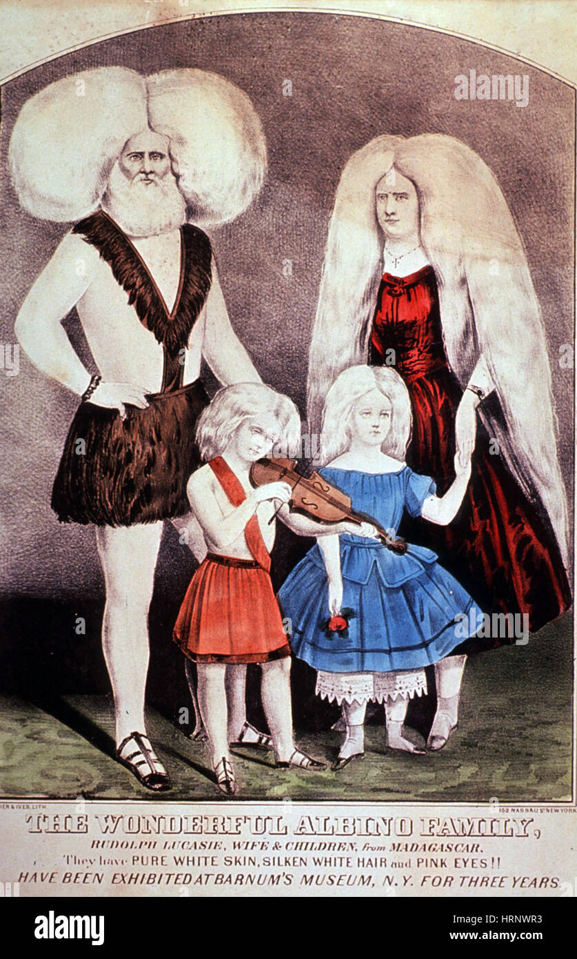 Die wunderbare Lucasie Albino-Familie, 1857 Stockfoto