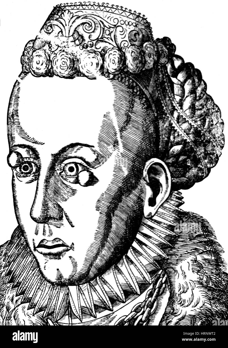 Warzen, 1583 Stockfoto