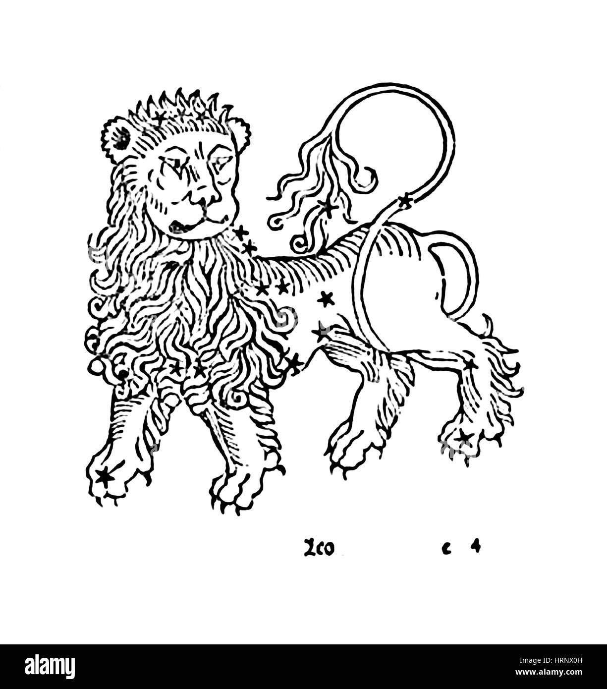 Sternbild, Sternzeichen, 1482 Stockfoto