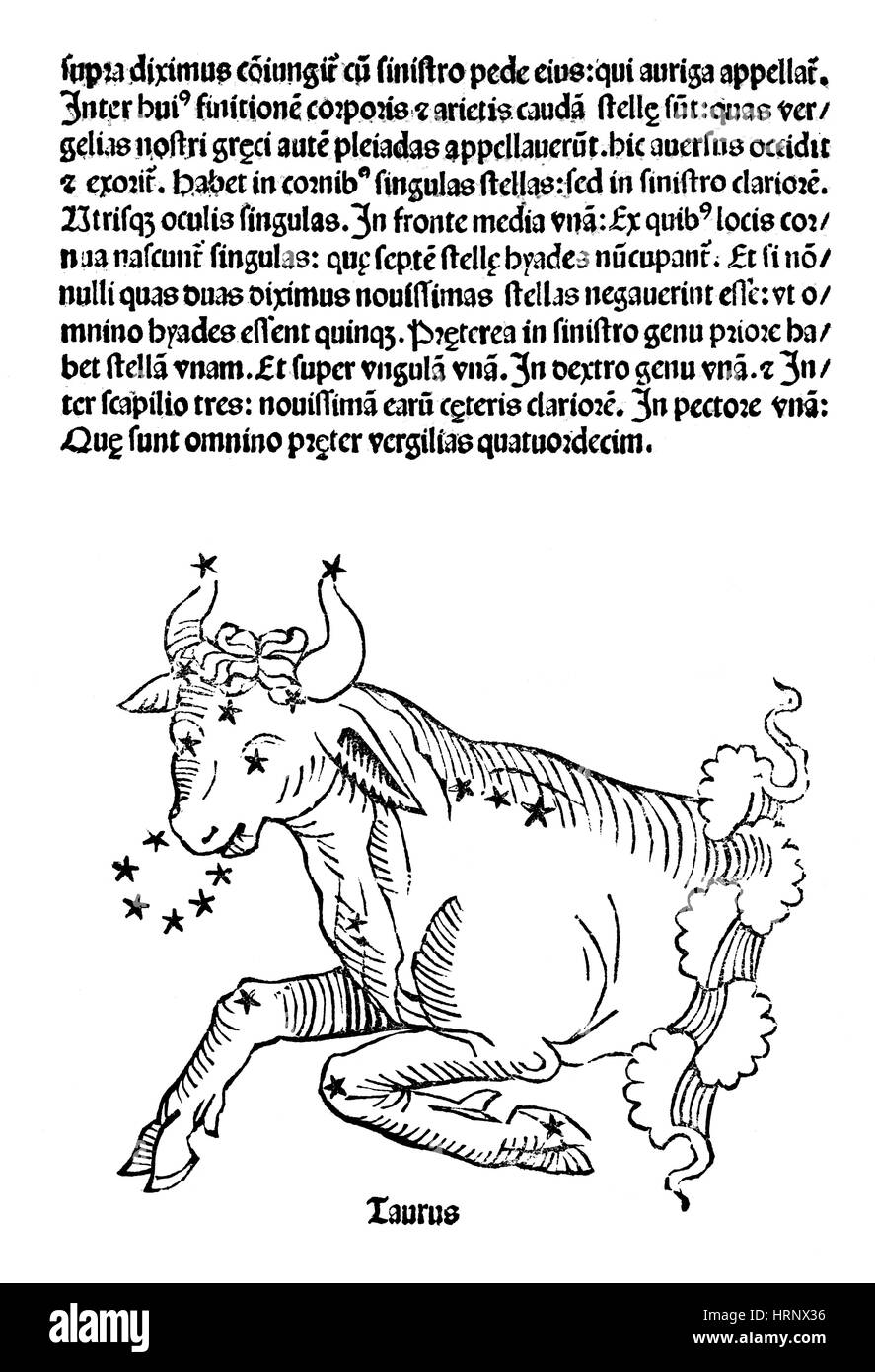 Stier Sternbild, Zodiac, 1482 Stockfoto