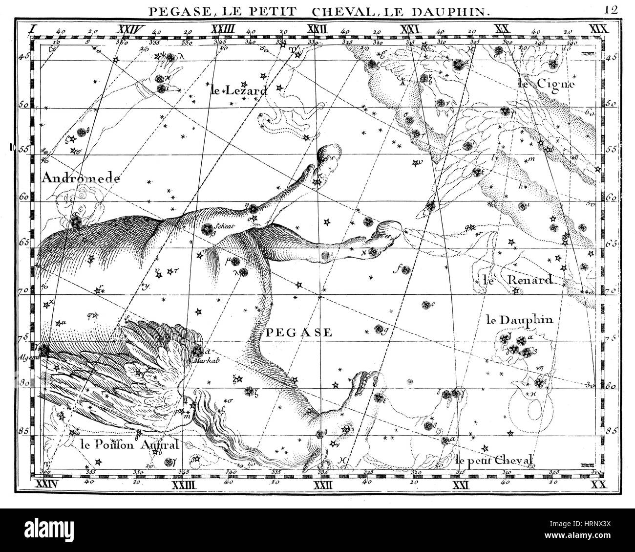 Pegasus, Equuleus und Delphinus Konstellationen Stockfoto