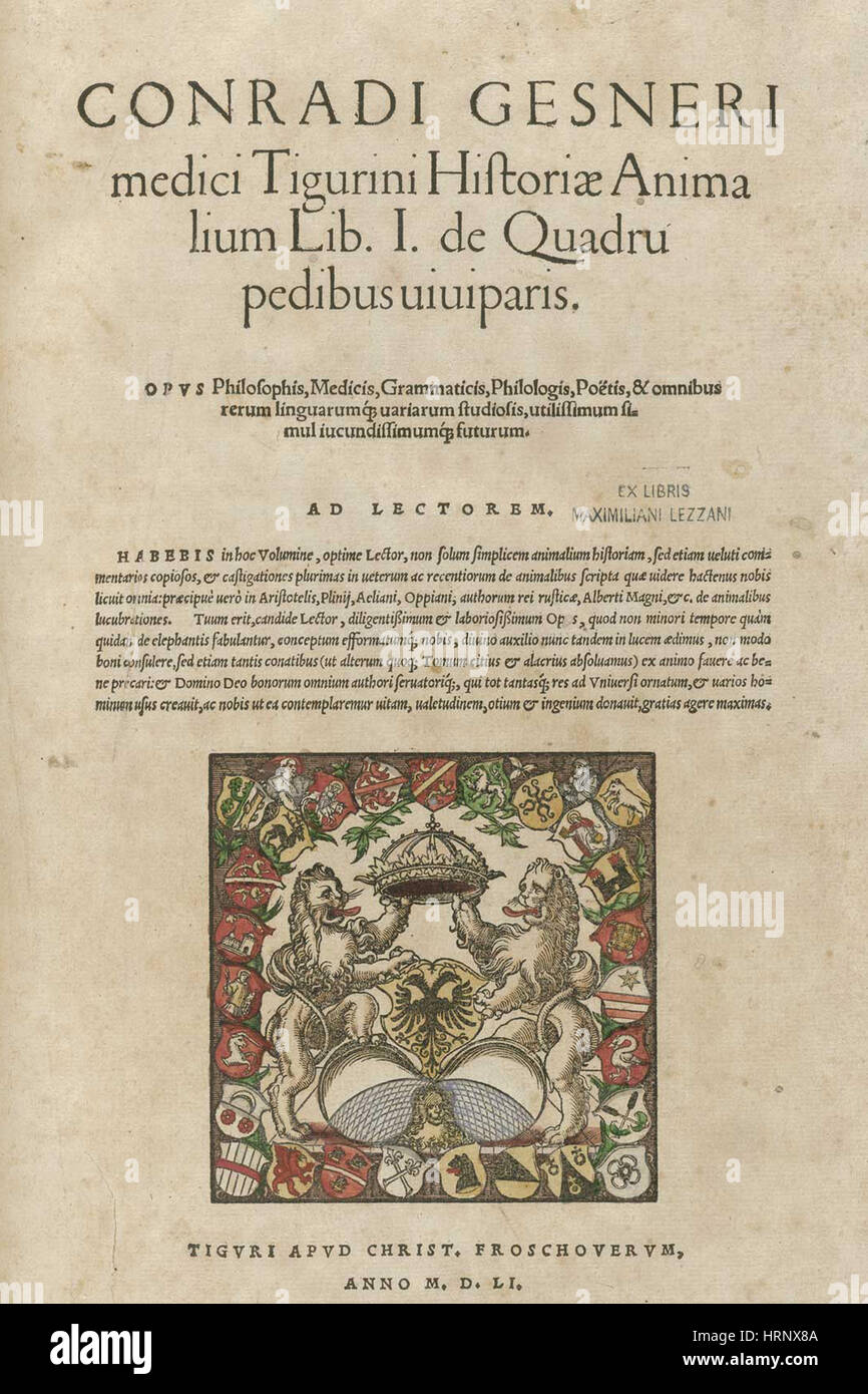 Historiae Animalium, Bd. 1, 16. Jahrhundert Stockfoto