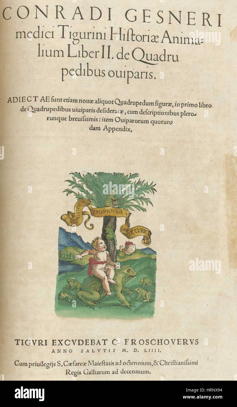 Historiae Animalium, Bd. 2, 16. Jahrhundert Stockfoto