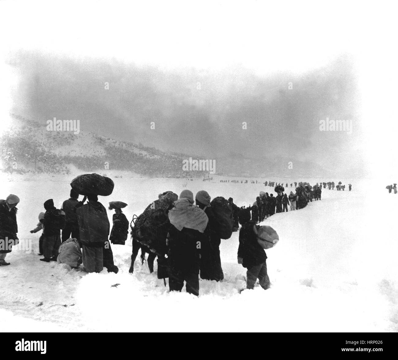 Korea-Krieg, nordkoreanische Flüchtlinge, 1951 Stockfoto