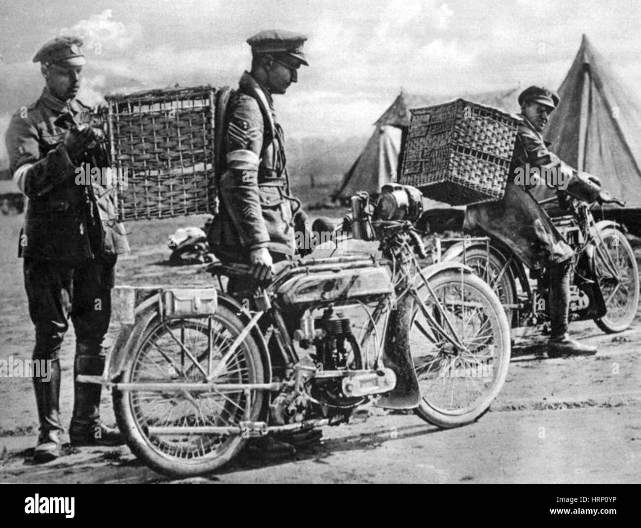 WWI, BEF Transport von Brieftauben Stockfoto