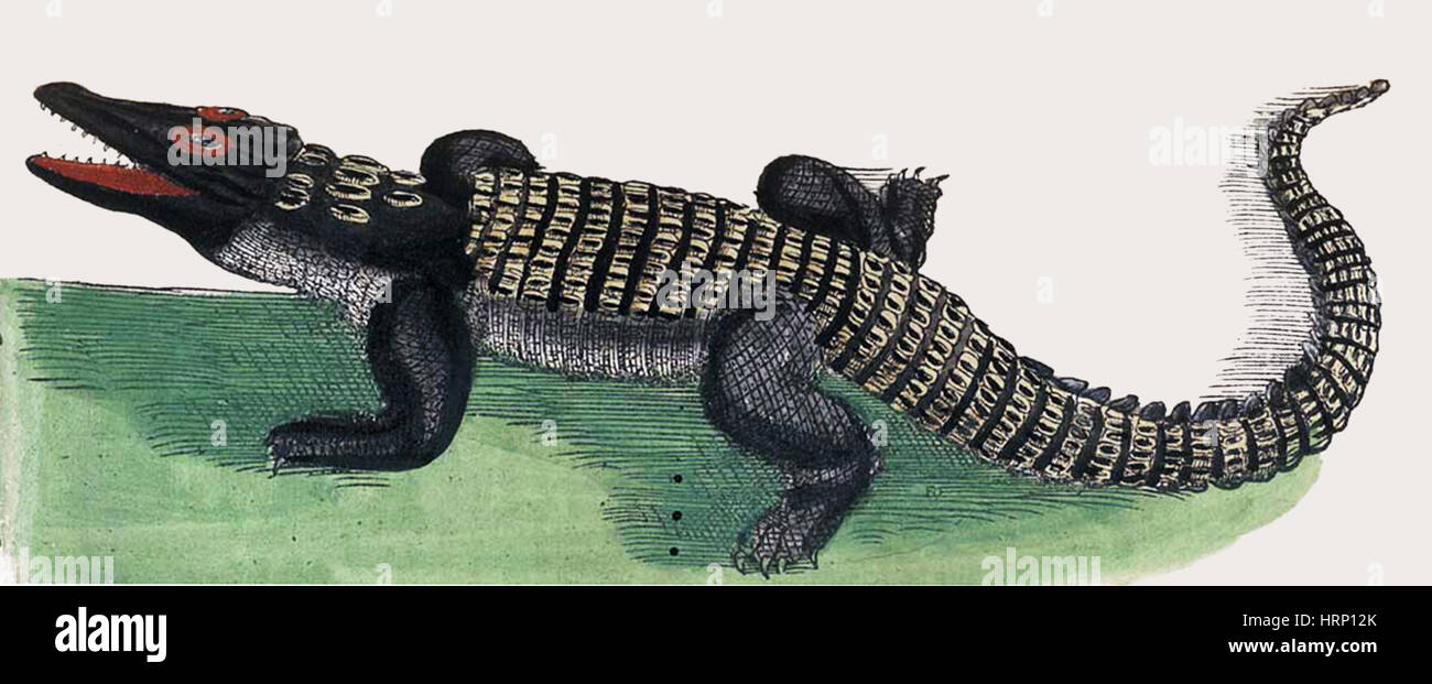 Krokodil, Historiae Animalium, 16. Jahrhundert Stockfoto