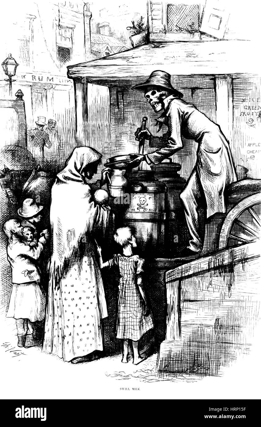 Trinke Milch-Skandal, 19. Jahrhundert Stockfoto