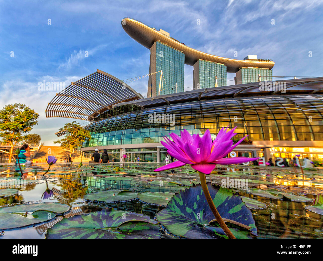 Lotusblüte vor Einkaufszentrum die Shoppes, Blume-Teich, Mall, Marina Bay Sands Hotel, Singapur, Asien, Singapur Stockfoto
