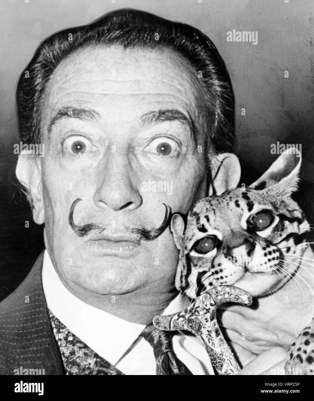 Spanish surrealist painter salvador dali -Fotos und -Bildmaterial in ...