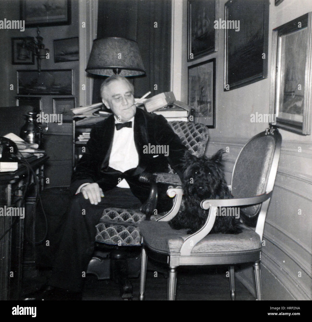 Präsident Roosevelt und Fala, 1941 Stockfoto